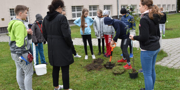 Stalowa Wola: Uczniowie 'Jedynki’ posadzili swoje drzewa