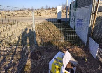 Tarnobrzeg. Przerzucili szczenięta przez płot