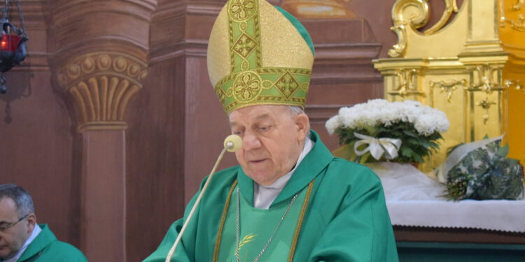 Sandomierz: V Dzień Ubogich.