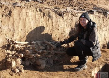 Gorzyce. W Trześni odkryto pozostałości dawnego cmentarza