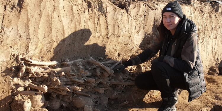 Gorzyce. W Trześni odkryto pozostałości dawnego cmentarza