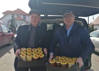 Sandomierz: Na ratunek pszczołom – w niedzielę szkolenie dla chętnych.