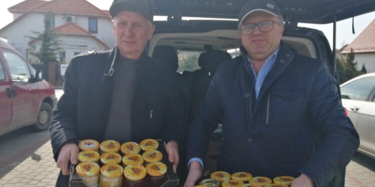Sandomierz: Na ratunek pszczołom – w niedzielę szkolenie dla chętnych.