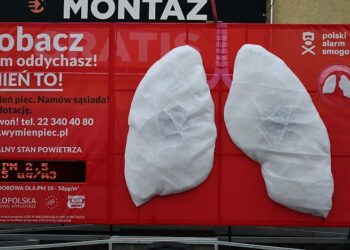 Dębica: Antysmogowe płuca.