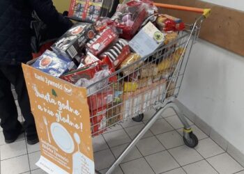 Tarnobrzeg. Zbiórka żywności trwa.