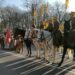 Sandomierz: Radośnie i patriotycznie.