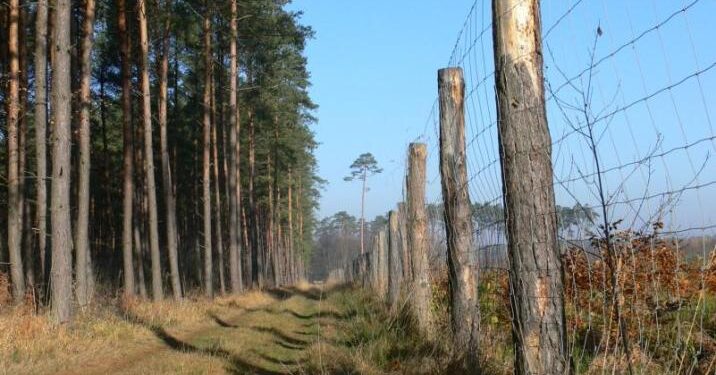 Mielec: Zabezpieczają się przed ASF