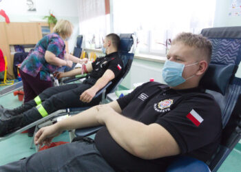 Zbydniów: Krwinki za ozdoby z choinki