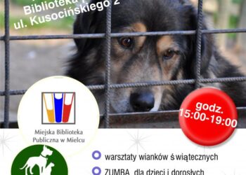 Mielec: Druga edycja Zwierzoteki!
