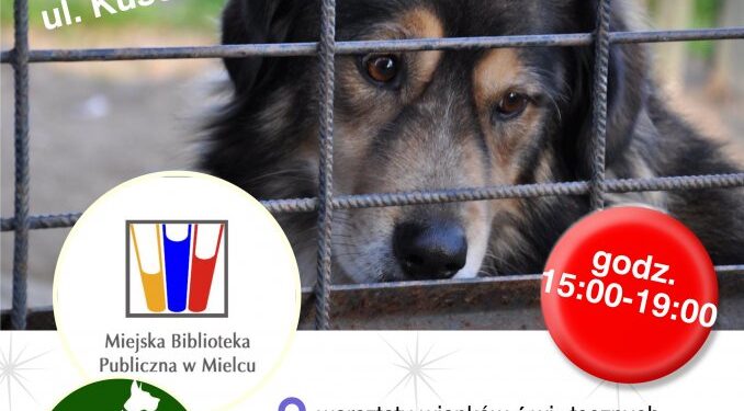 Mielec: Druga edycja Zwierzoteki!