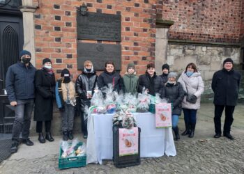 Sandomierz: Na pomoc Iguni.