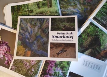 Dolina Rzeki Smarkatej – Perła Puszczy Sandomierskiej