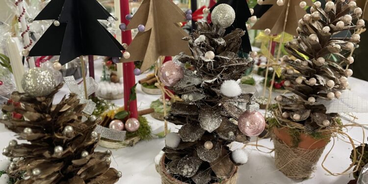 Sandomierz: Kiermasz charytatywny w Mokoszynie na leczenie Iguni.