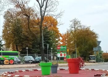 Sandomierz: Rondo Radiotechników zyska wygląd godny nazwy.