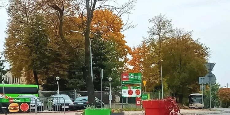 Sandomierz: Rondo Radiotechników zyska wygląd godny nazwy.