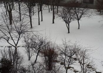 Sandomierz: Wychłodzenie zagraża życiu.