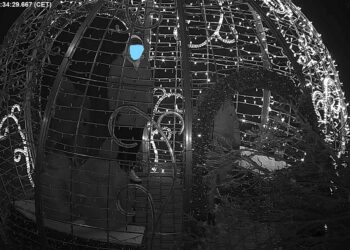 Tarnobrzeg. Zniszczył kable. Ozdoba miejska nie świeci.