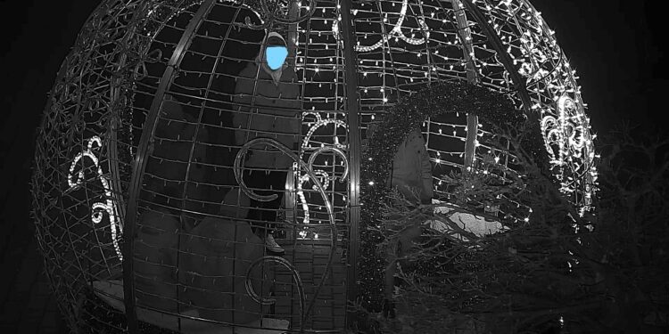 Tarnobrzeg. Zniszczył kable. Ozdoba miejska nie świeci.