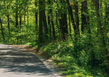Powiat niżański: Lasy Państwowe dofinansowały budowę drogi Bukowina-Ryczki.