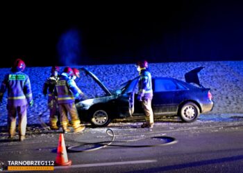 Tarnobrzeg: Pożar samochodu na Wisłostradzie
