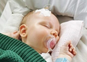 Opatów, Tarnobrzeg: „Myśliwska paczka” dla Iguni.