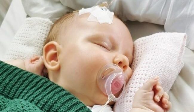 Opatów, Tarnobrzeg: „Myśliwska paczka” dla Iguni.