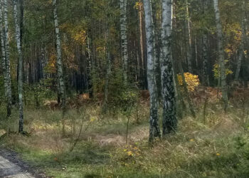 Stalowa Wola: Jest zgoda radnych na zakup kolejnych terenów na zamianę pod Park Inwestycyjny
