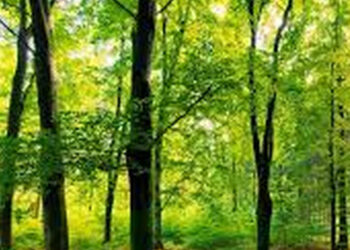 Stalowa Wola: Miasto planuje zakup kolejnych terenów w ramach tworzenia Parku Inwestycyjnego.