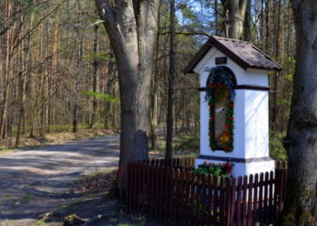 Nisko: Droga Jana na Warchołach otworzy kolejne tereny rekreacyjne