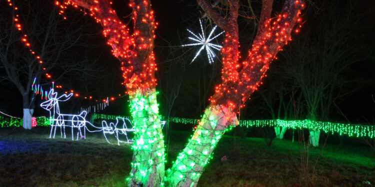 Partynia: Tysiące światełek na posesji pana Grzegorza