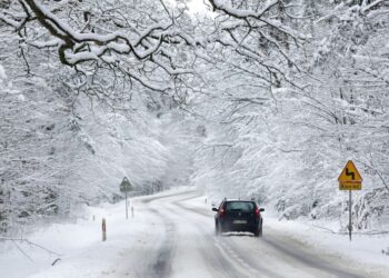 Mielec: Służby czekają na sygnały mieszkańców.