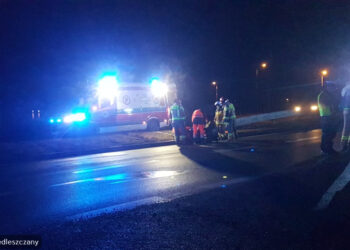 Baranów Sandomierski. Potrącenie na Wisłostradzie