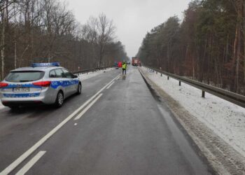 Przyłęk: Tragiczny wypadek na drodze wojewódzkiej 875