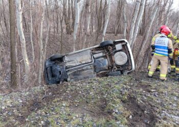 Tarnobrzeg. Zjechała z na pobocze i uderzyła w przydrożne drzewa