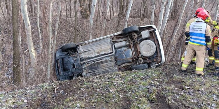 Tarnobrzeg. Zjechała z na pobocze i uderzyła w przydrożne drzewa