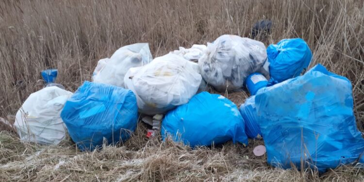 Padew Narodowa: Porzucone odpady budowlane