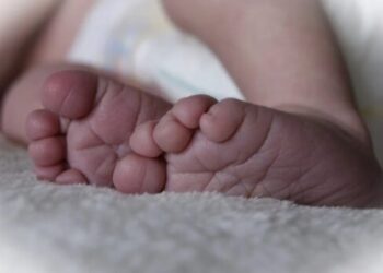 Świętokrzyskie: Już 650 wniosków o 500 plus złożyli mieszkańcy województwa w tym roku.