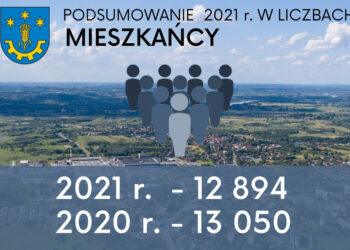 Gorzyce. Gmina w liczbach