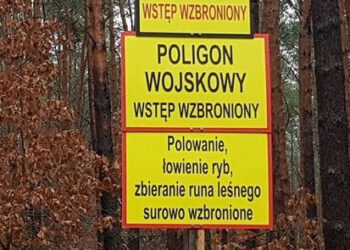 Stalowa Wola: Mieszkańcom przeszkadza utrudniony dostęp do lasu z powodu poligonu