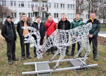 Tarnobrzeg. Wyspawali renifera.