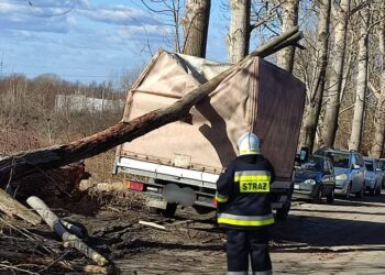 Tarnobrzeg: Trwa usuwanie skutków wichury.