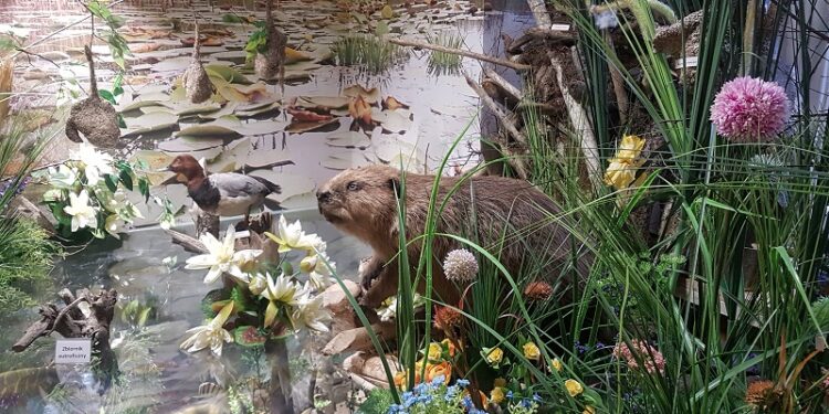 Tarnobrzeg. Ferie z Centrum Natura 2000.