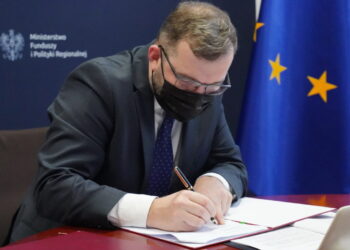 Dębica: Dębica w PIM