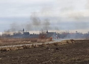 Tarnobrzeg: Pożary nieużytków.