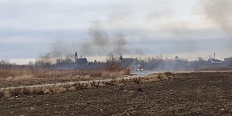 Tarnobrzeg: Pożary nieużytków.