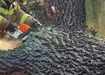 Nisko: Strażacy wzywani byli do uszkodzonych dachów i powalonych drzew