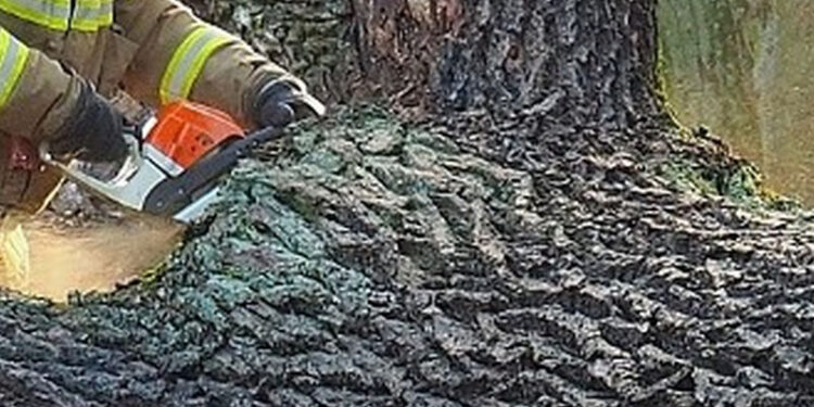 Nisko: Strażacy wzywani byli do uszkodzonych dachów i powalonych drzew