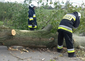 Stalowa Wola: Nie tylko w sobotę, ale i w niedzielę strażacy walczyli ze skutkami wichury