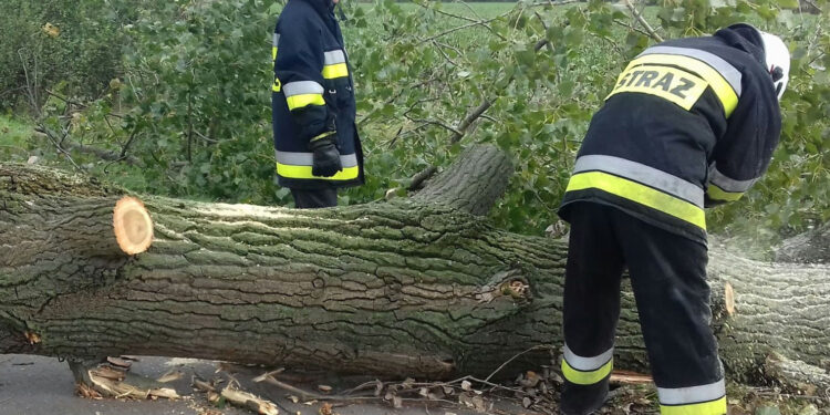 Stalowa Wola: Nie tylko w sobotę, ale i w niedzielę strażacy walczyli ze skutkami wichury