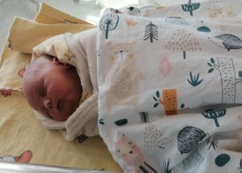 Sandomierz: Wiosenne dzieci z sandomierskiej porodówki.